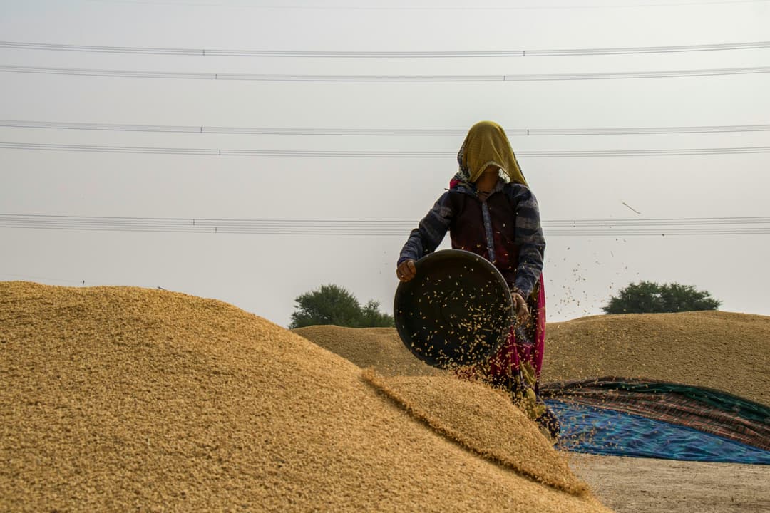 farmers