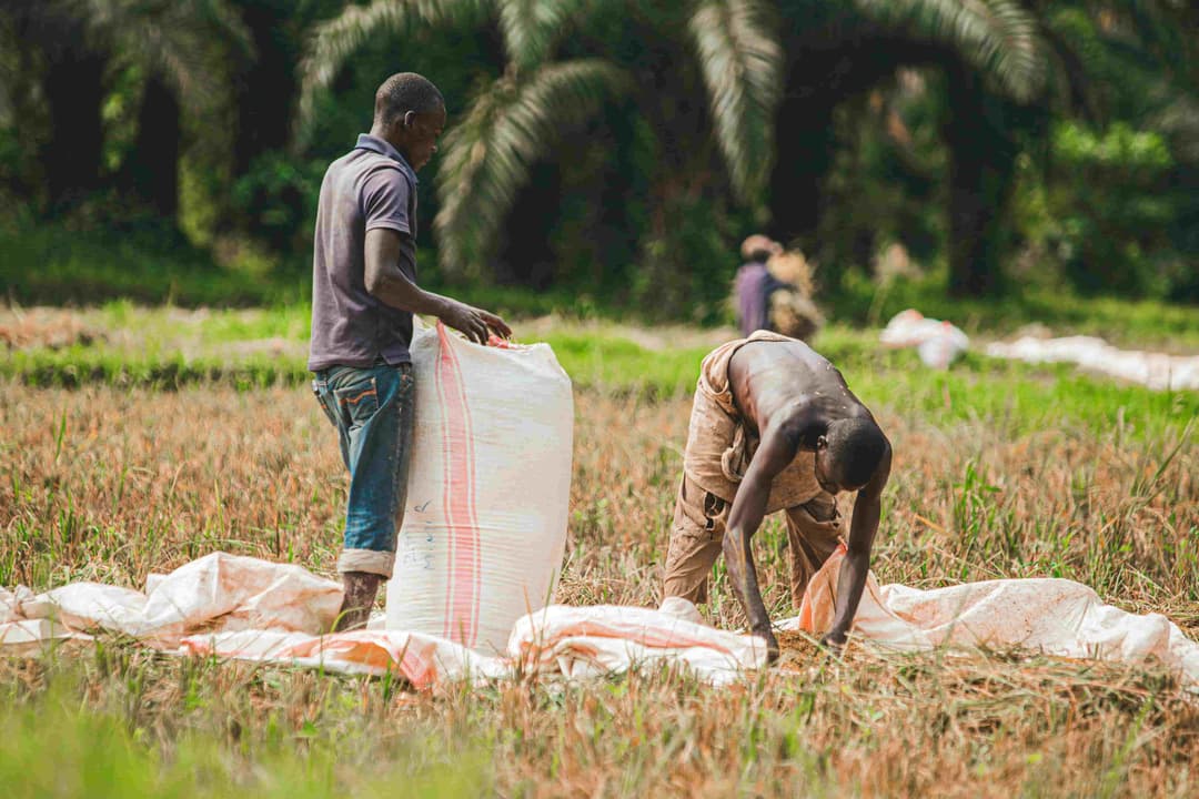 farmers